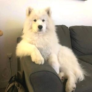 CLOSET SPECIAL purchase 1 bag get 2nd bag free